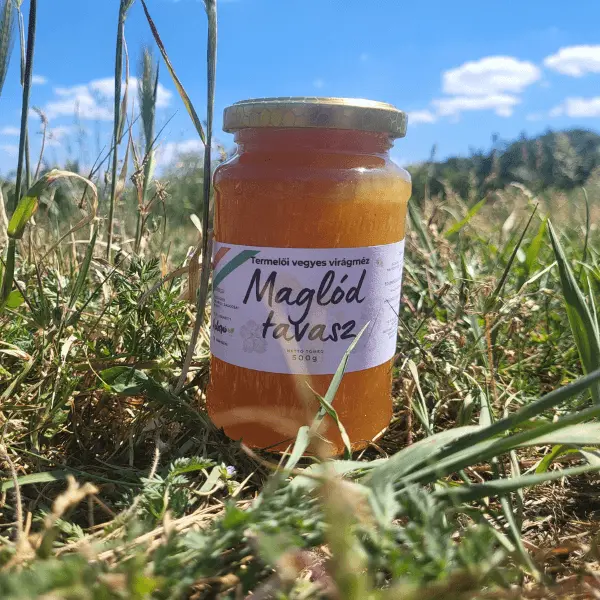 Maglód tavasz termelői vegyes virágméz 500g